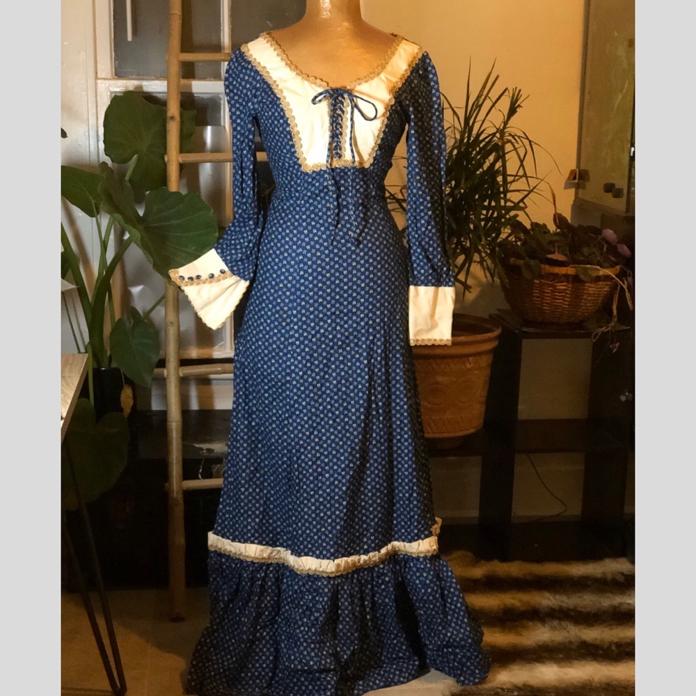Rare 1970s Vintage blue calico prairie dress